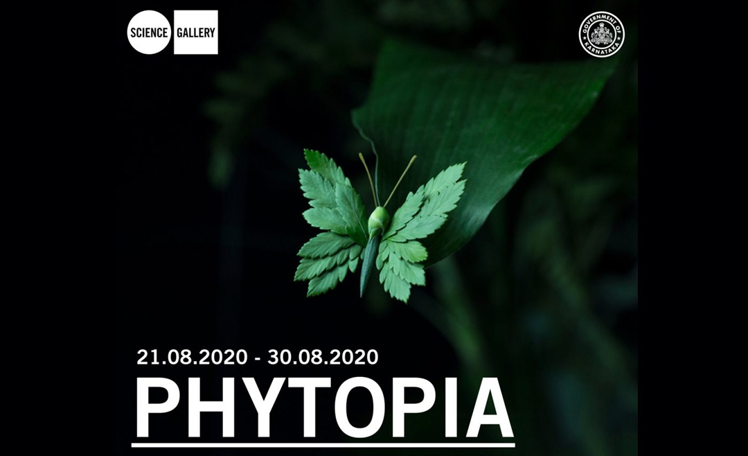 PUBLIC ENGAGEMENT IN THE DIGITAL AGE: PHYTOPIA